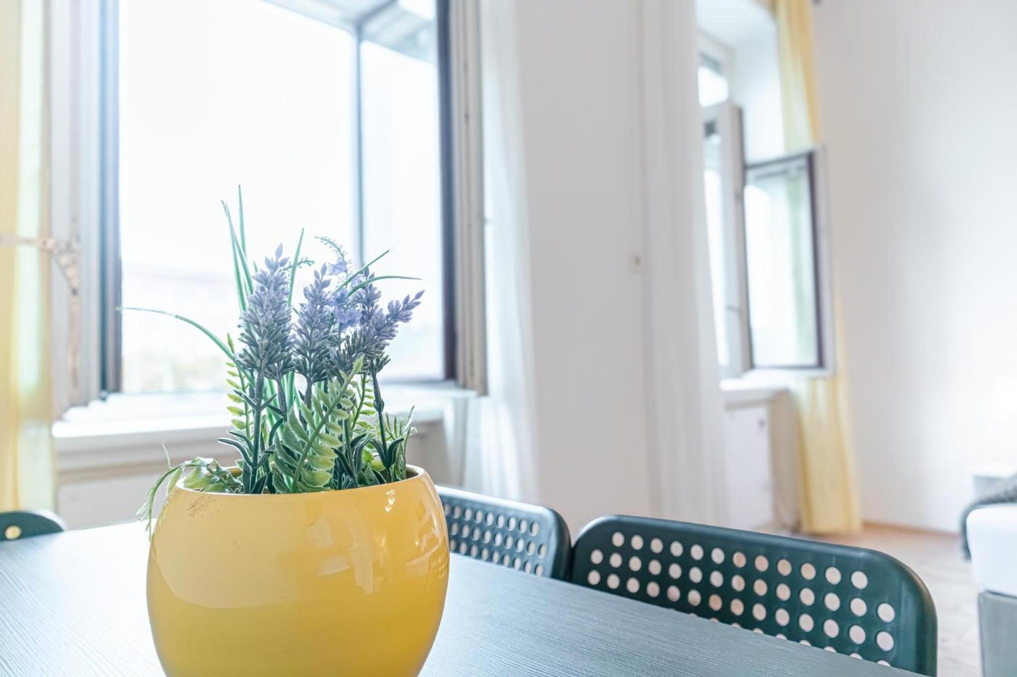 Attractive 2br Near Akh Ideal For Longstays Viena